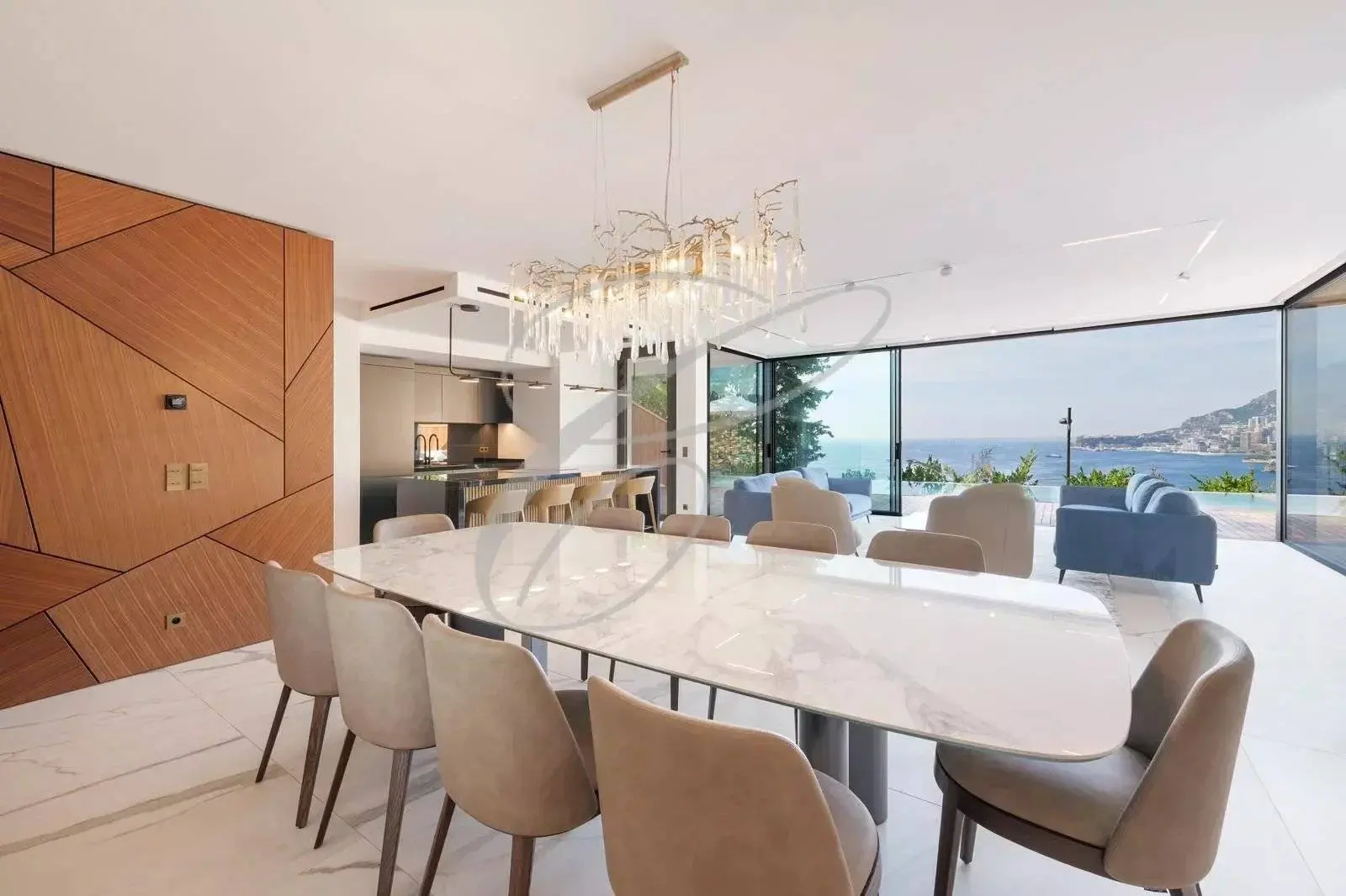 Cap Martin — Luxurious New Villa — photo 4