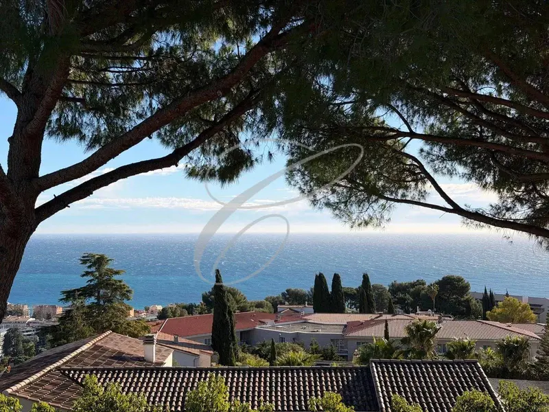 Roquebrune-Cap-Martin — New Luxury Villa